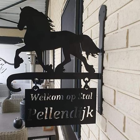 Luxe Gastenkamer Met Living En Keuken Bij Friezen Paarden Stal Pellendijk Westendorp Exterior photo